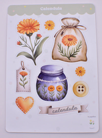 Cartela de Adesivos Calendula